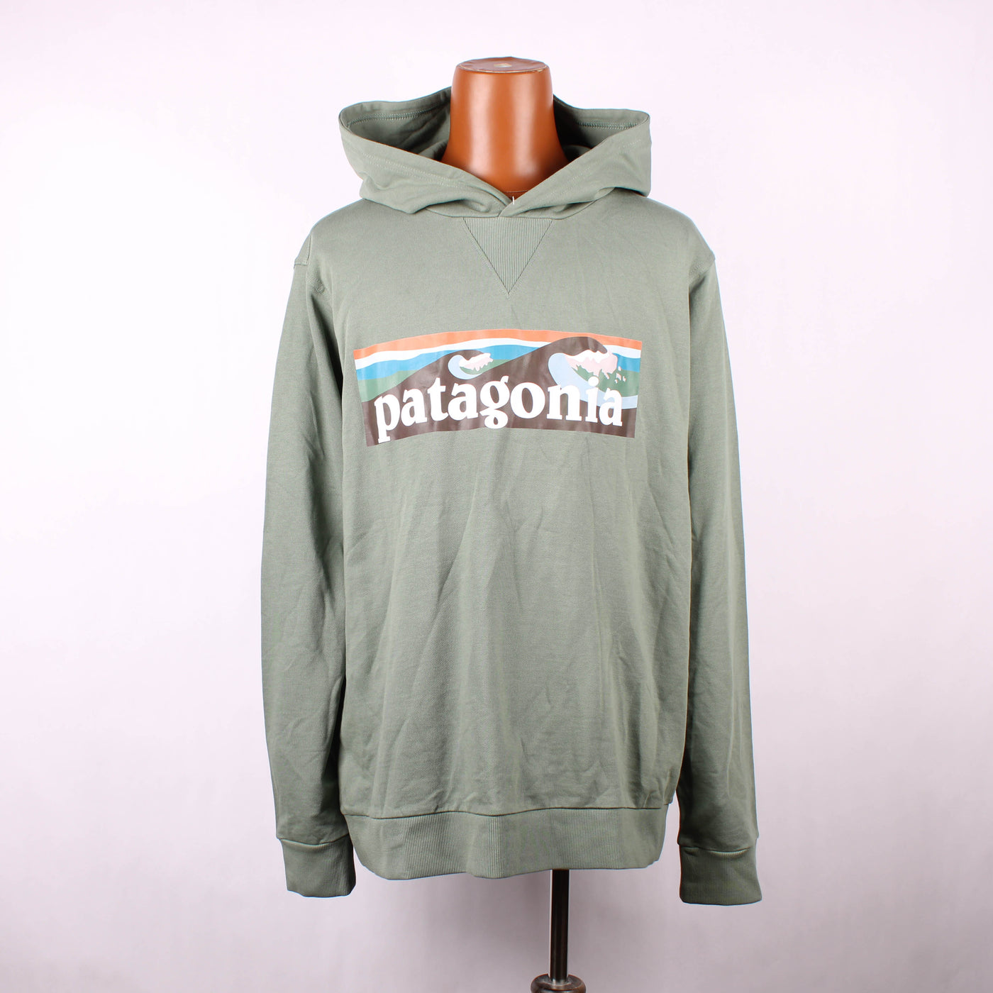 Patagonia Hoodie Print Groen