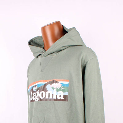 Patagonia Hoodie Print Groen