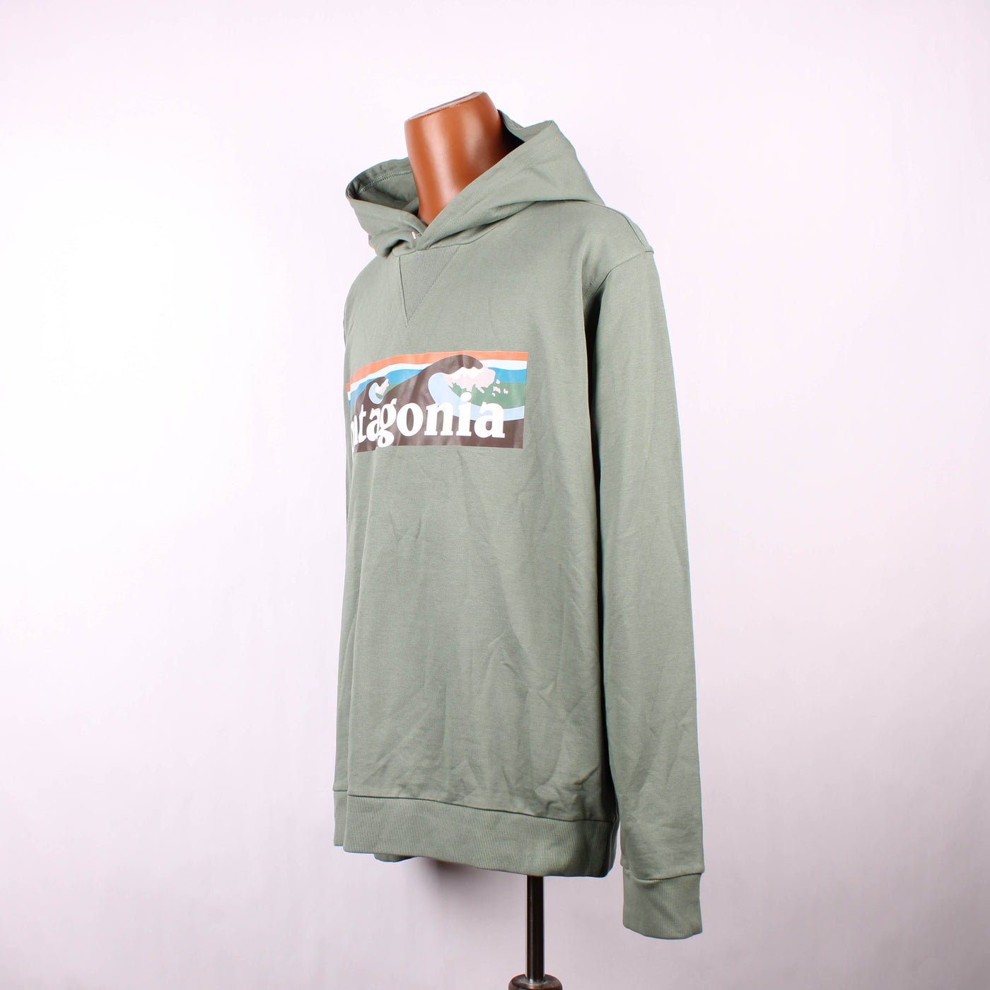Patagonia Hoodie Print Groen