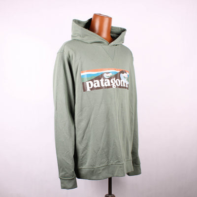 Patagonia Hoodie Print Groen