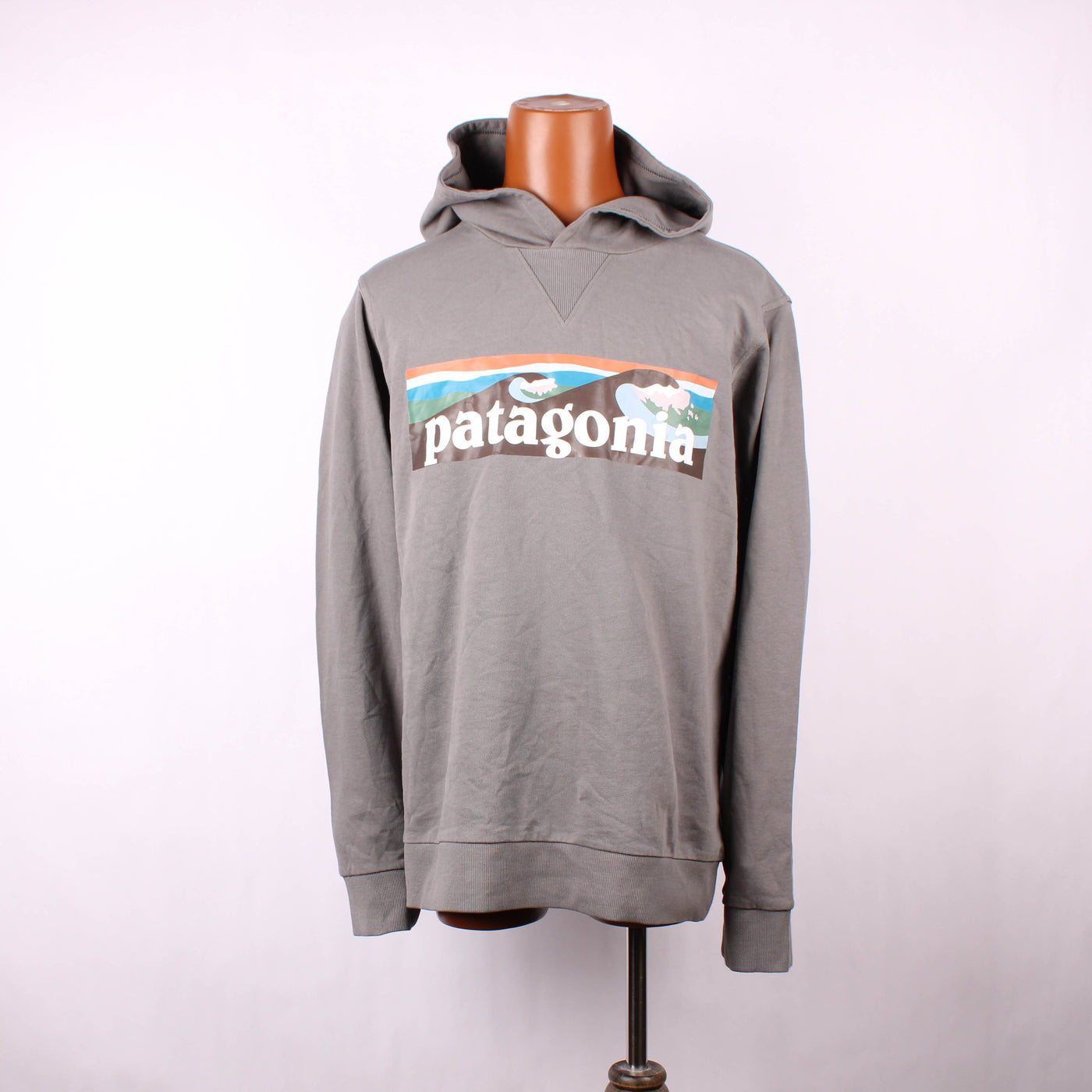 Patagonia Hoodie Print Grijs
