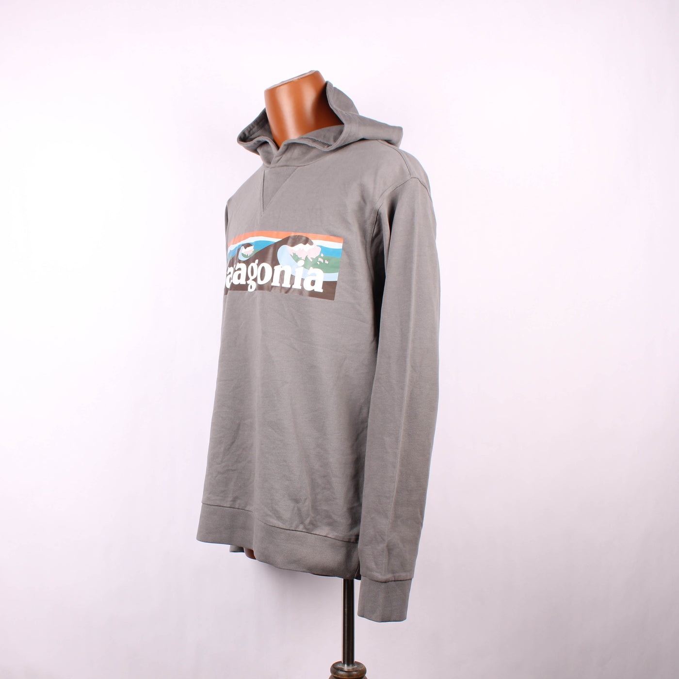 Patagonia Hoodie Print Grijs