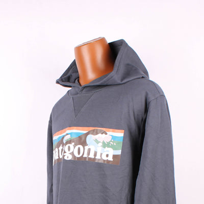 Patagonia Hoodie Print Blauw