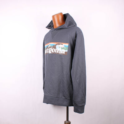 Patagonia Hoodie Print Blauw