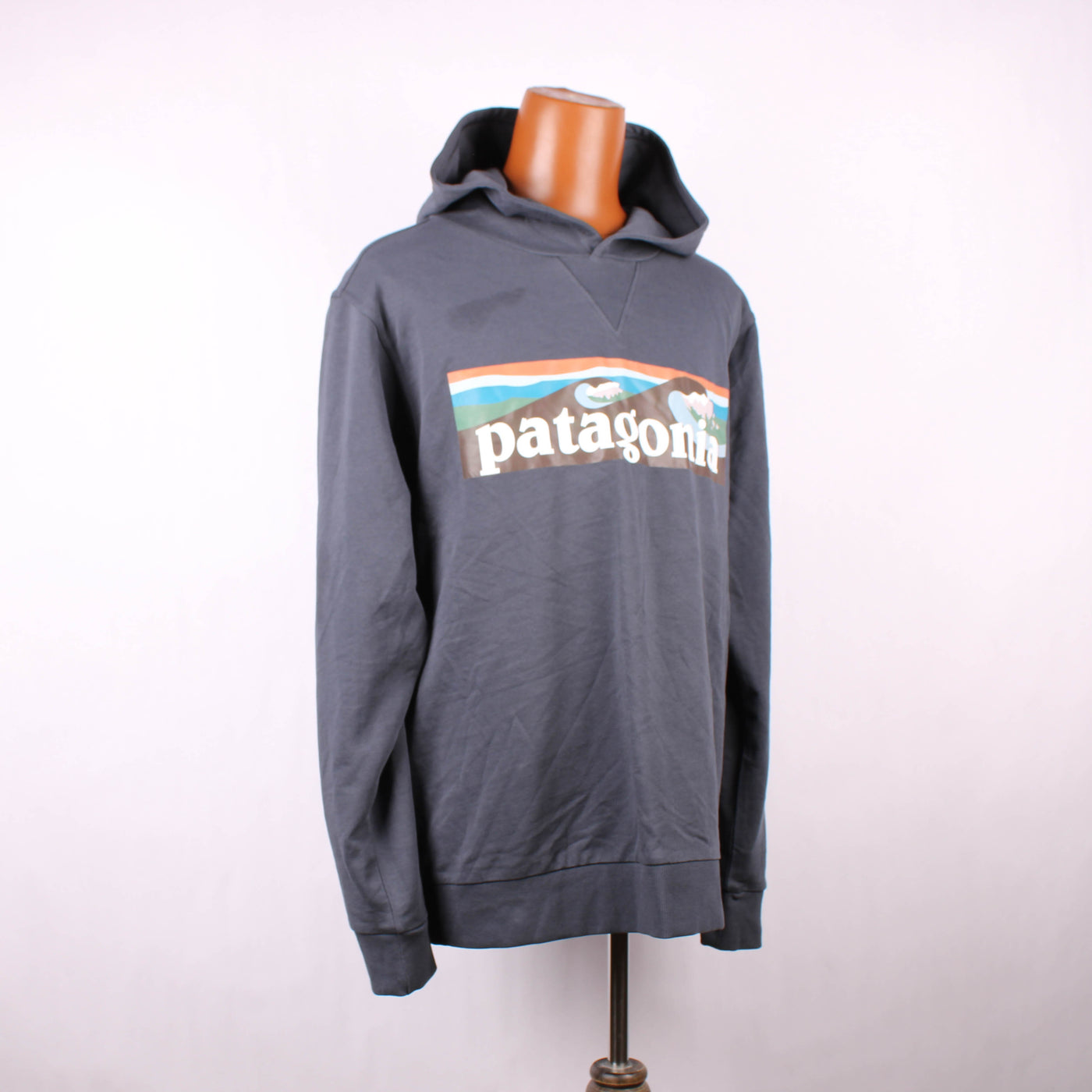 Patagonia Hoodie Print Blauw