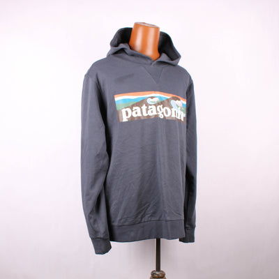 Patagonia Hoodie Print Blauw