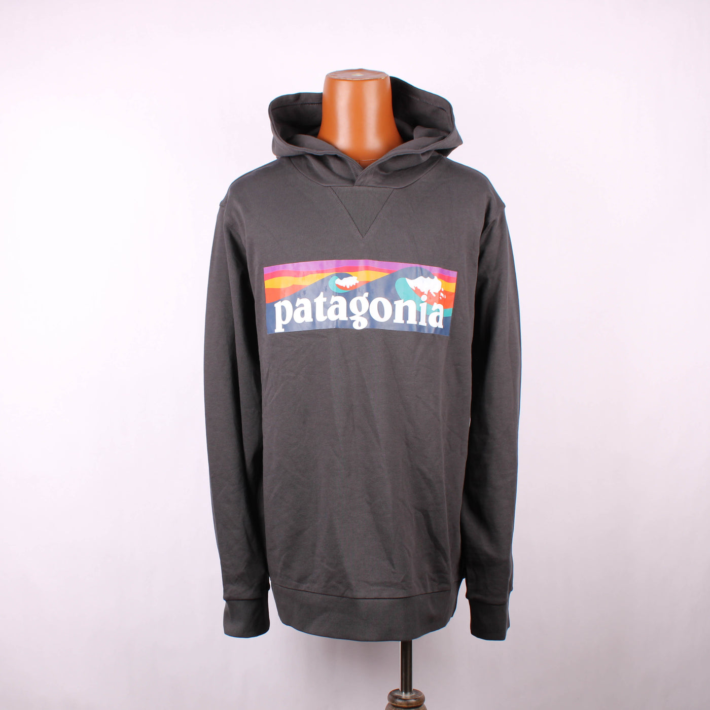 Patagonia Hoodie Print Zwart