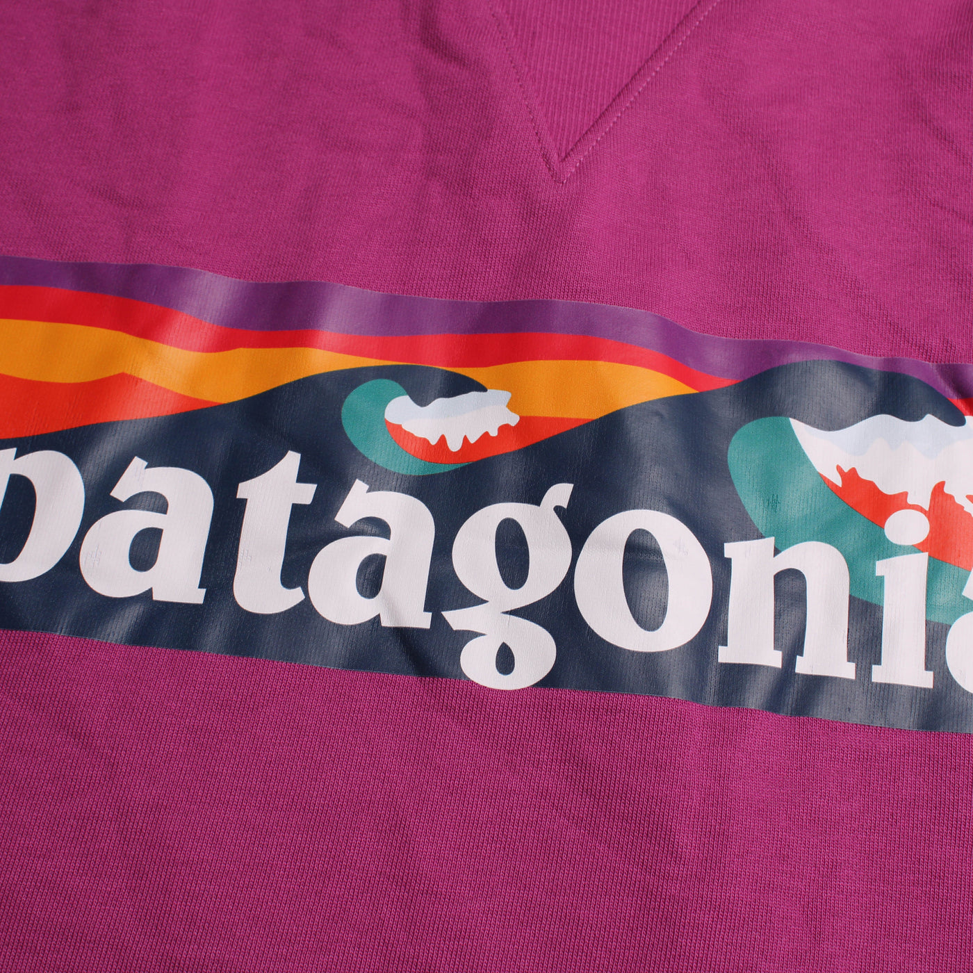 Patagonia Hoodie Print Roze