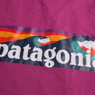 Patagonia Hoodie Print Roze