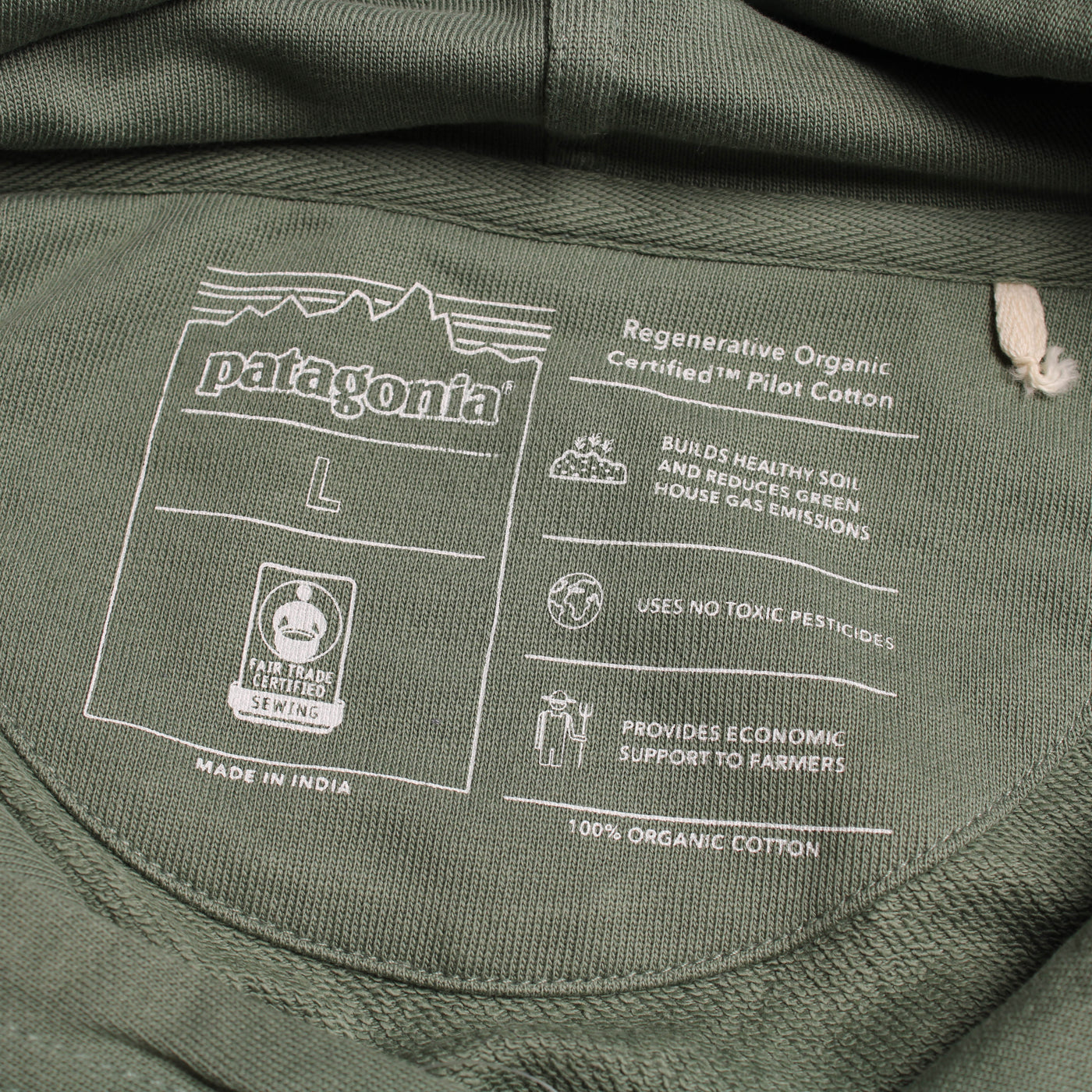 Patagonia Hoodie Print Groen