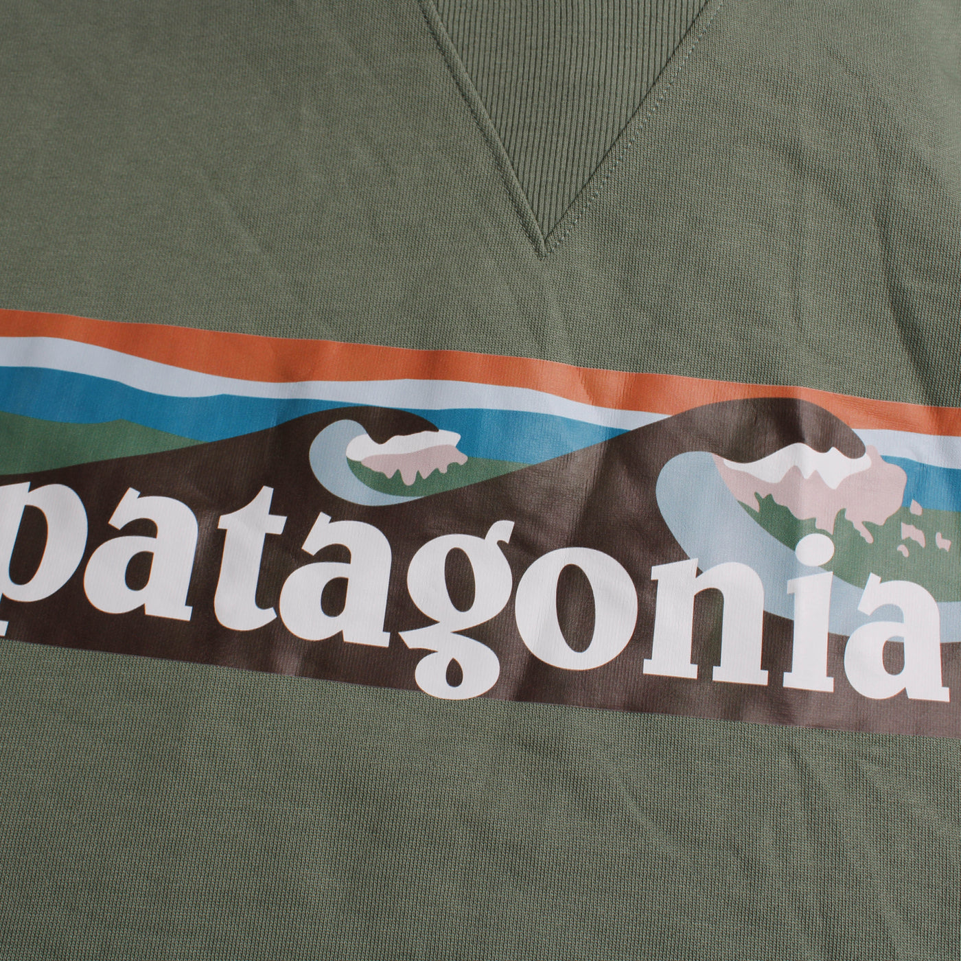 Patagonia Hoodie Print Groen