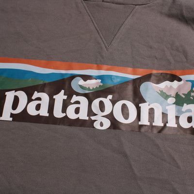 Patagonia Hoodie Print Grijs