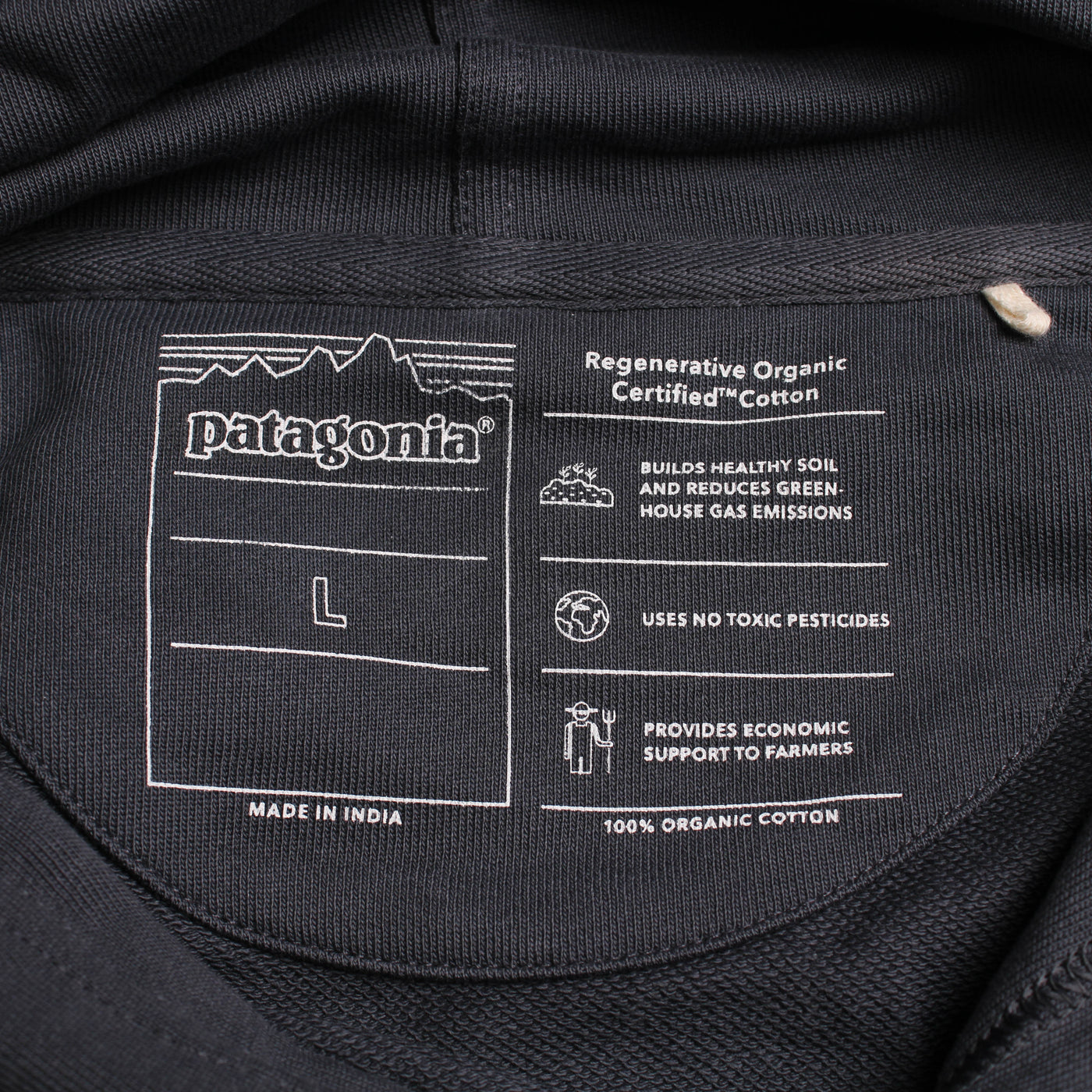 Patagonia Hoodie Print Blauw