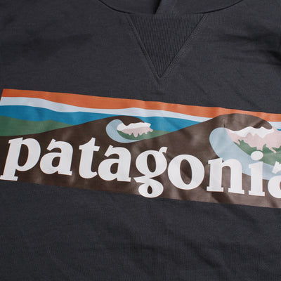 Patagonia Hoodie Print Blauw