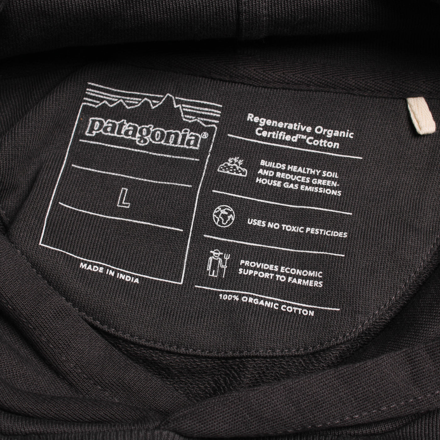 Patagonia Hoodie Print Zwart
