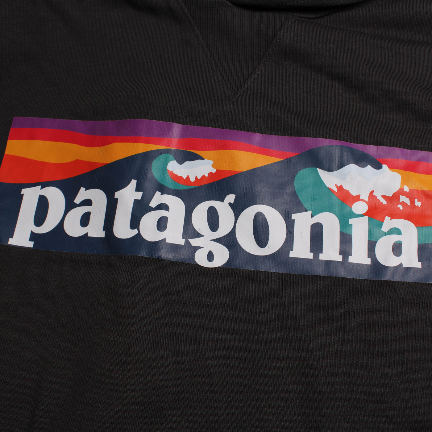 Patagonia Hoodie Print Zwart