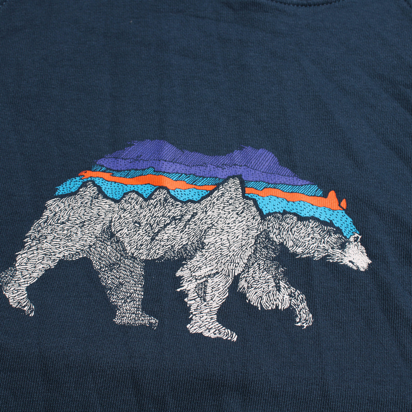 Patagonia Hoodie Bear Blauw