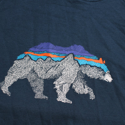 Patagonia Hoodie Bear Blauw