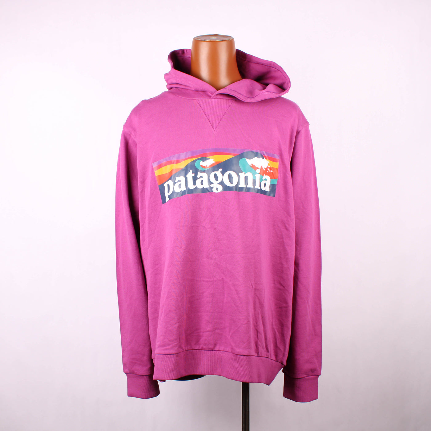 Patagonia Hoodie Print Roze