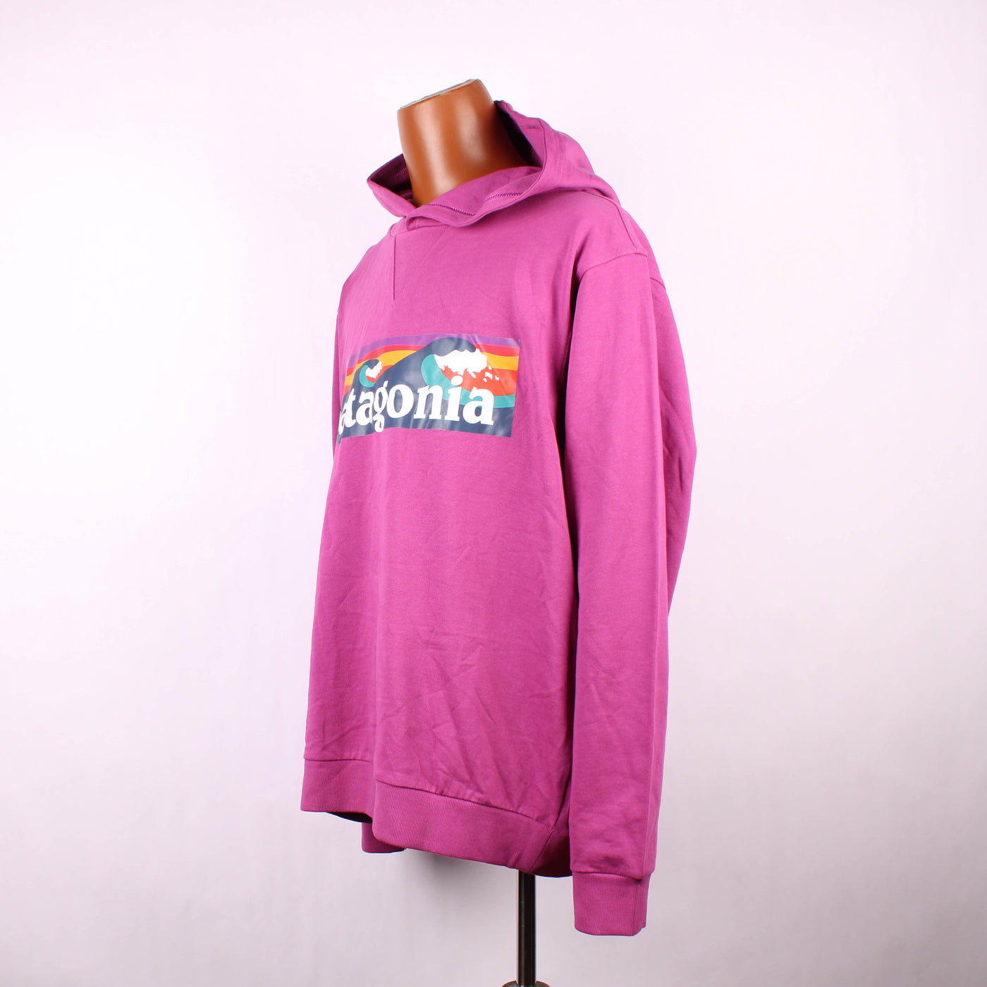 Patagonia Hoodie Print Roze